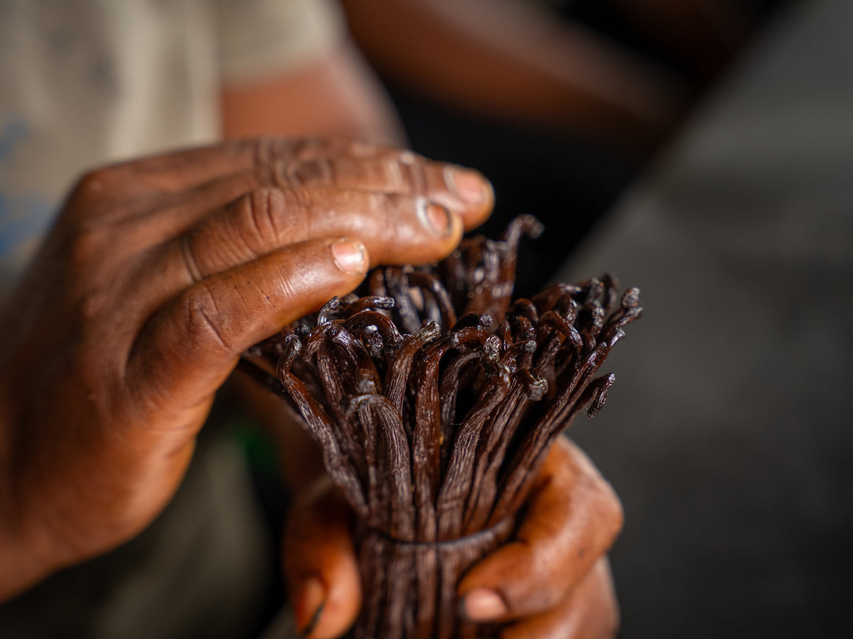 Health Benefits of Vanilla Beans: More Than Just Flavor