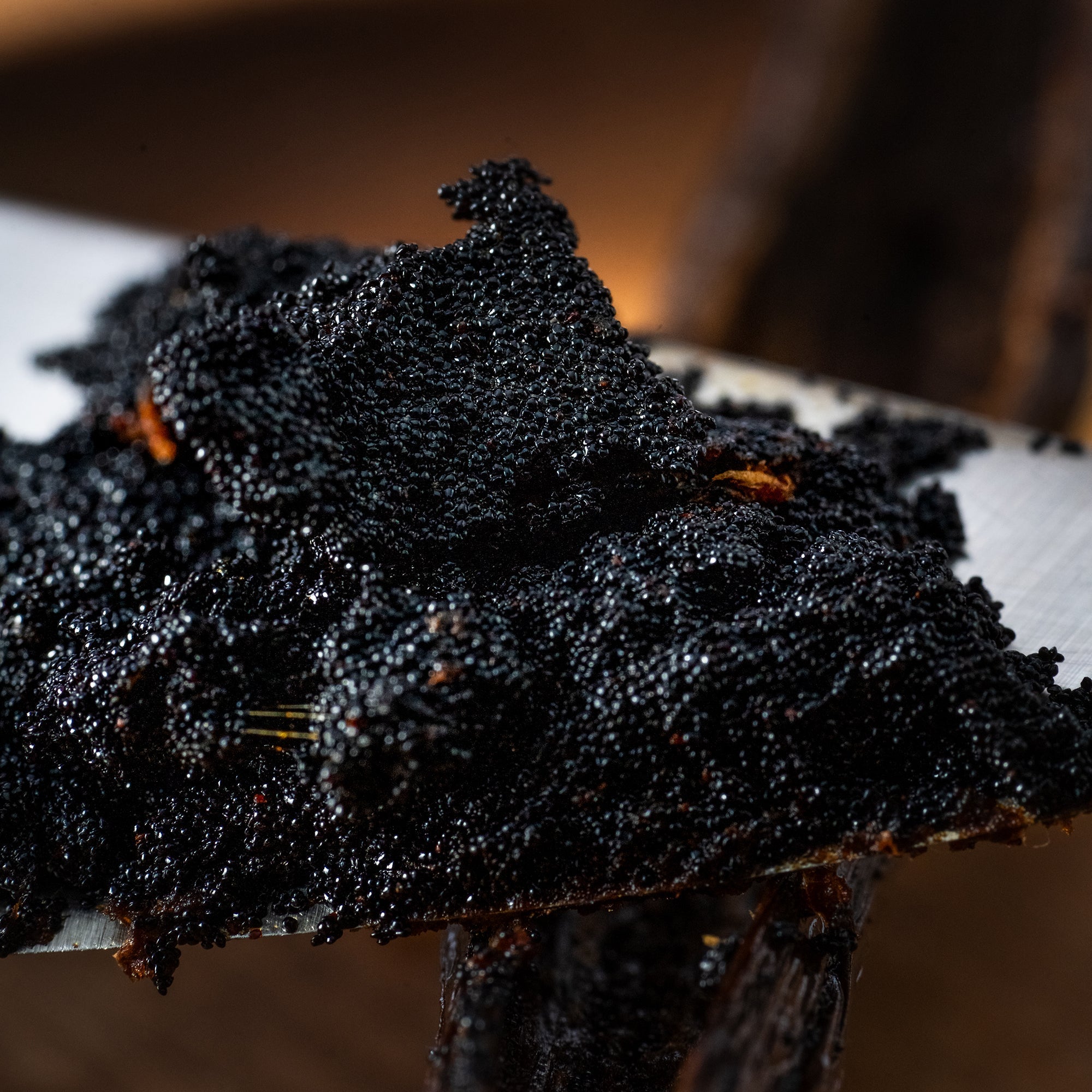  Close-up of glistening black vanilla bean seeds piled on the flat of a knife blade, warm dark background