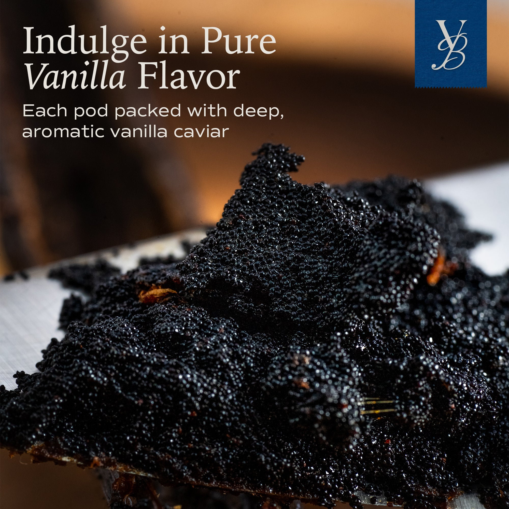 VanillaBros premium Madagascar Bourbon vanilla bean pod split open revealing rich aromatic black vanilla caviar seeds