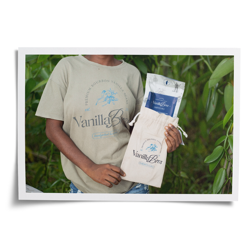 VanillaBros Madagascar farmer holding premium vanilla bean package and branded cotton gift bag among vanilla plants