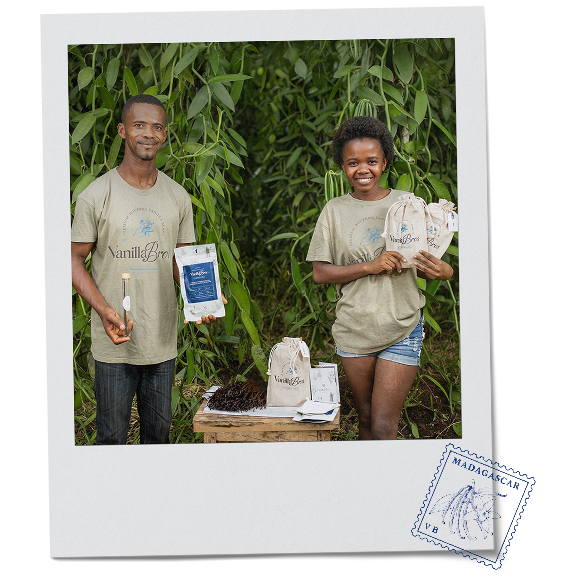 VanillaBros Madagascar farmers holding premium vanilla bean products surrounded by vanilla plants on the plantation